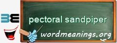 WordMeaning blackboard for pectoral sandpiper